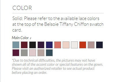 Belsoie Tiffany Chiffon V-Neck A-Line with Lace | Available Long or Short - Several Colors - Sizes 00-34 | In Store ONLY